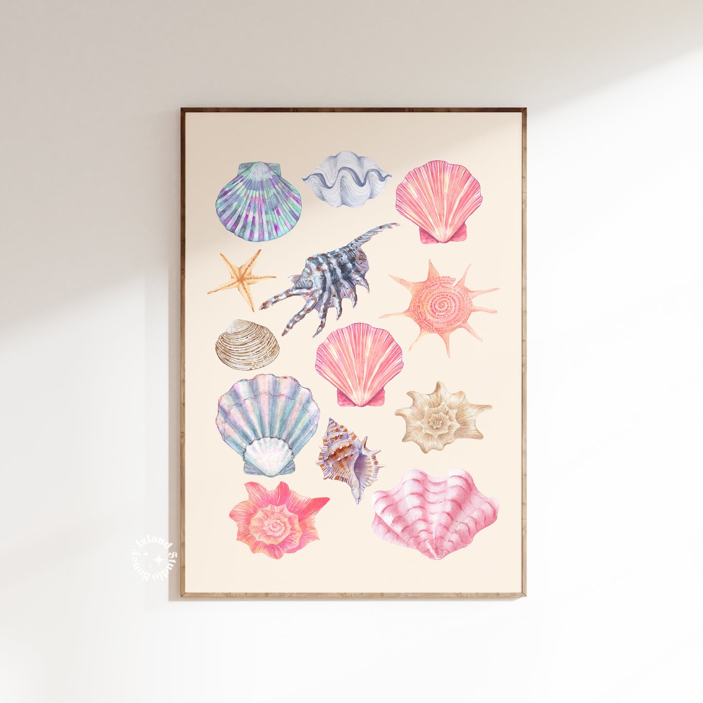 Coastal Wall Art – Seashell Framed Print on white wall