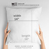 This Must be The Place Throw Pillow Pink