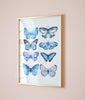 Butterfly collection print - Blue