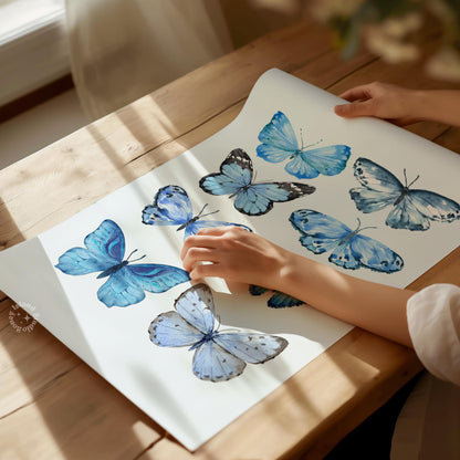 Butterfly collection print - Blue