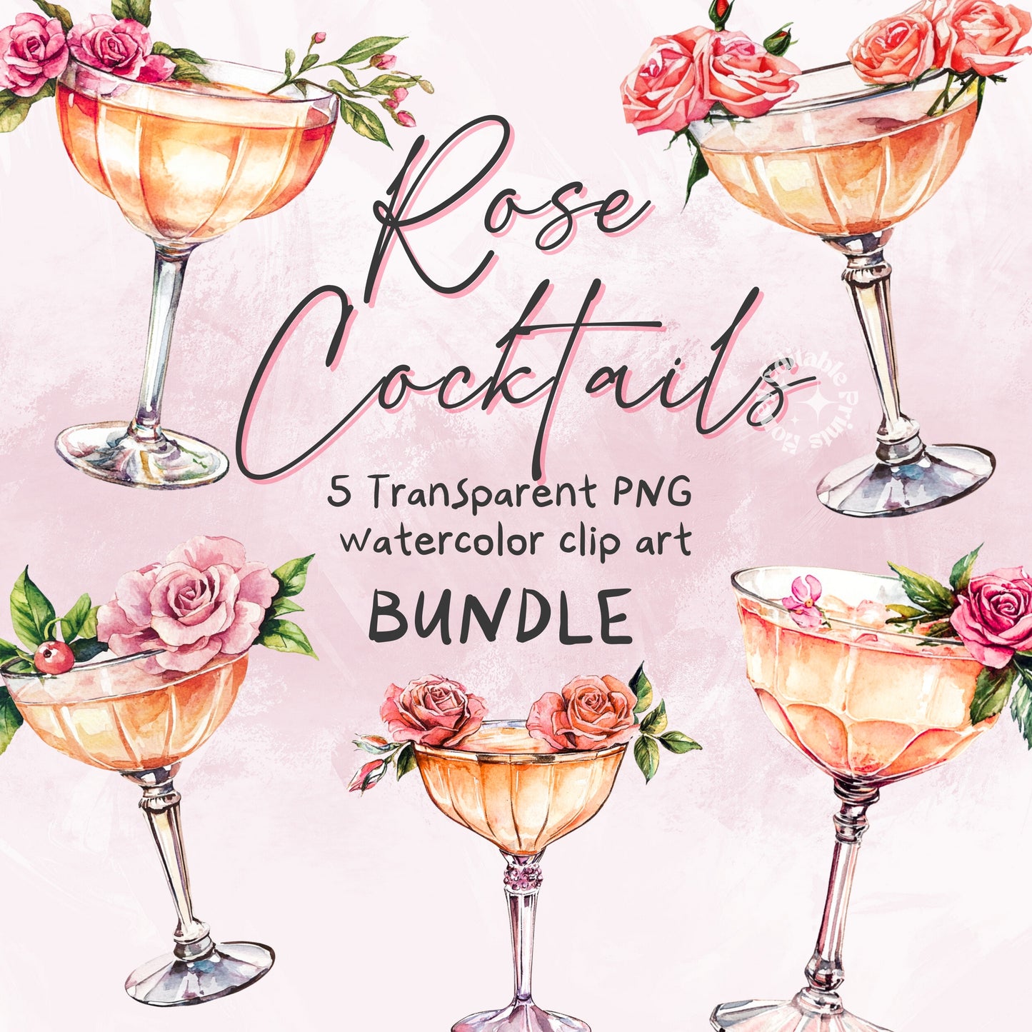 Rose Cocktail Drinks Collection - Hand Drawn Watercolor Illustrations