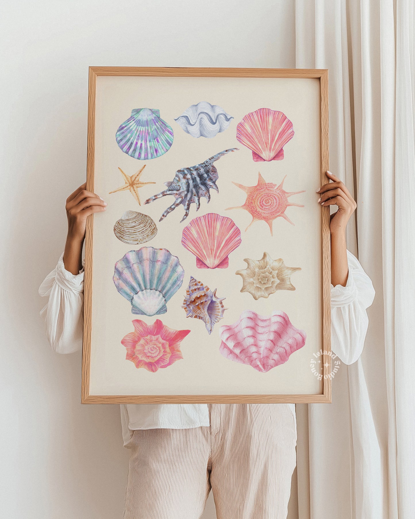 Person holding a framed artwork of colorful seashells against a white background