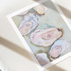 Art print of oyster shells on a light background