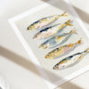 Sardines - Giclée Fine Art Print