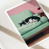 Cat lying on a green couch with a pink wall and wine glass in the background