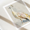 Framed watercolor painting of a peacock on a light background