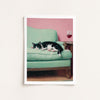 Cat lying on a green couch with a pink wall and wine glass in the background